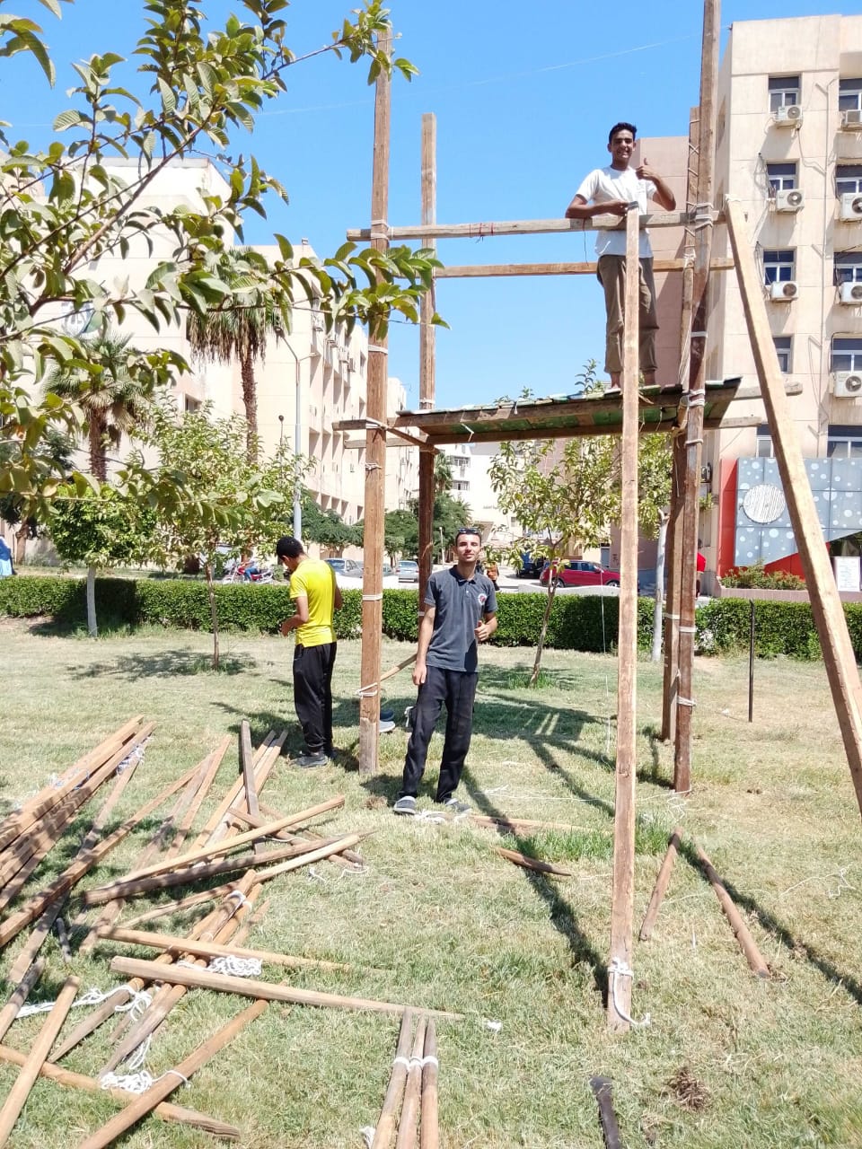 صورة الخبر
