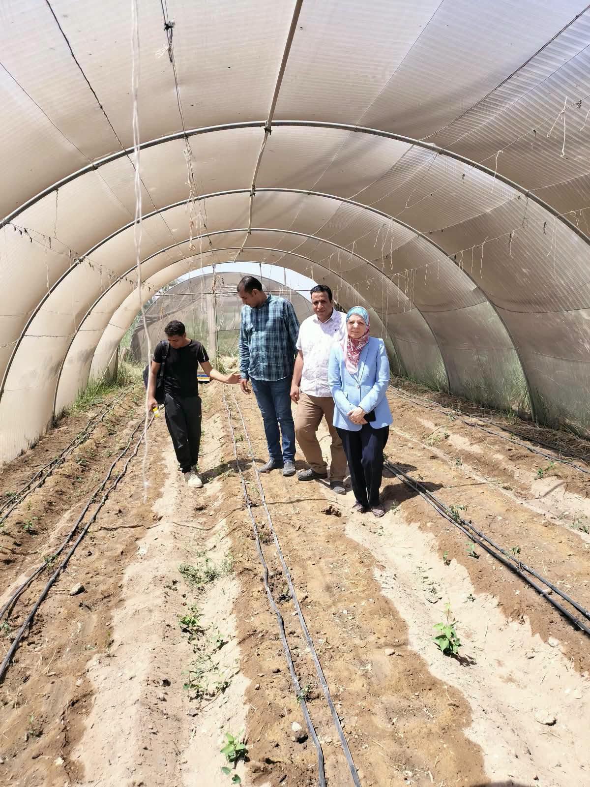 صورة الخبر